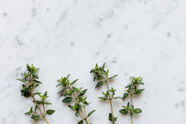 Thyme (Dried Thyme Leaves) detail view